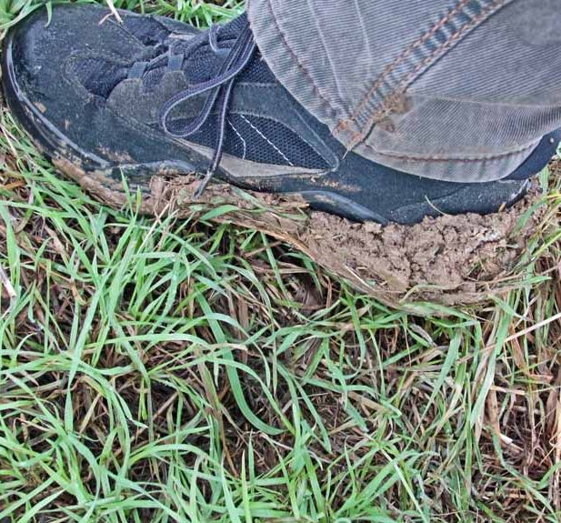 Vorsicht Marschboden mud